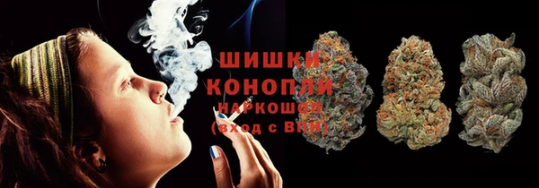 сатива Иннополис