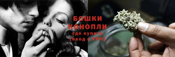 стафф Зеленокумск