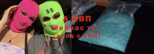 стафф Зеленокумск