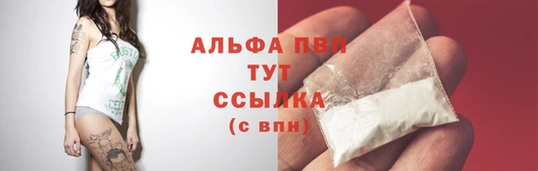 кокс Инта