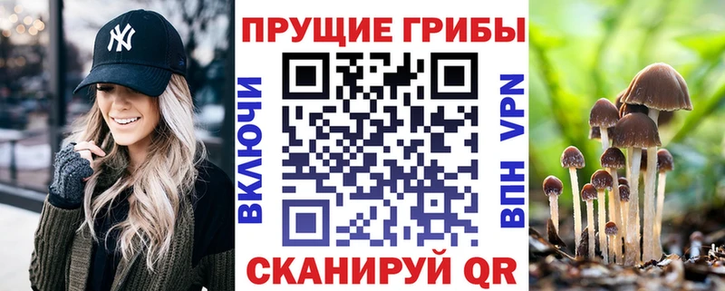 как найти закладки  Катайск  mega ТОР  Галлюциногенные грибы Cubensis 